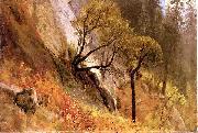 Albert Bierstadt Landscape Study, Yosemite California oil on canvas